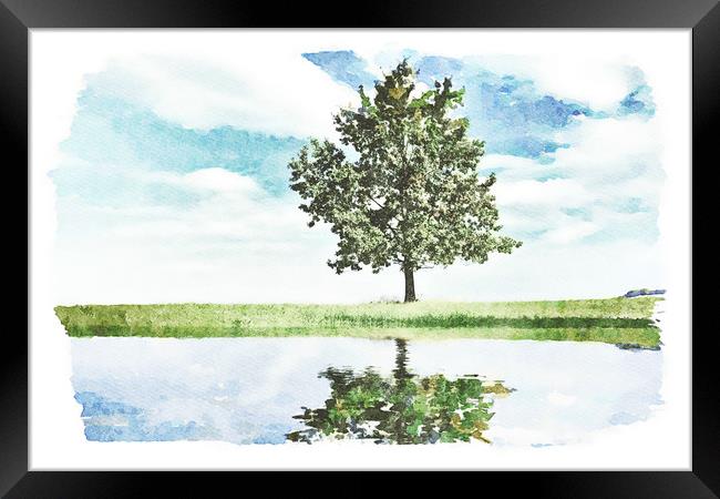 Lonely tree by the pond Framed Print by Wdnet Studio