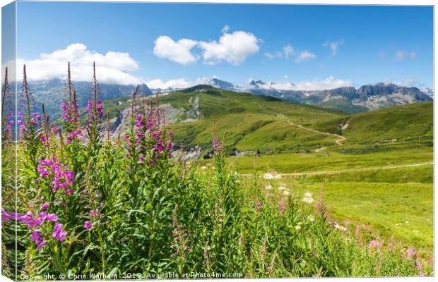 Charmillon, Le Tour, Chamonix Canvas Print by Chris Warham