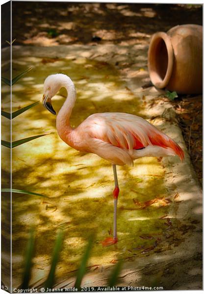 Flamingo Canvas Print by Joanne Wilde