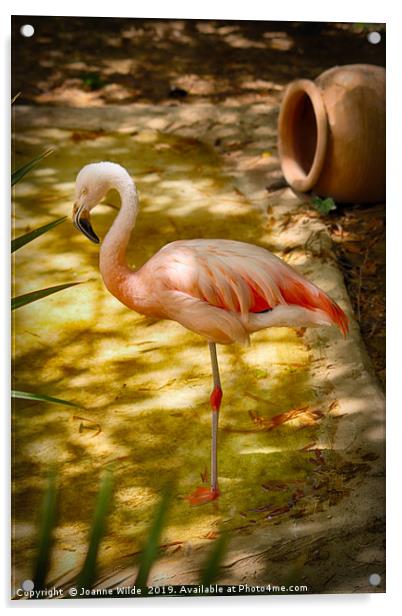 Flamingo Acrylic by Joanne Wilde
