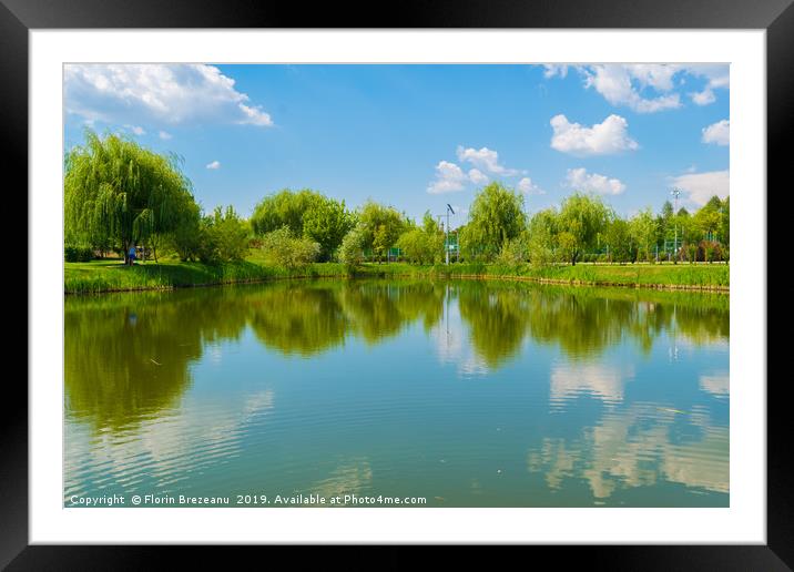 water lake reflection of green willow trees Framed Mounted Print by Florin Brezeanu