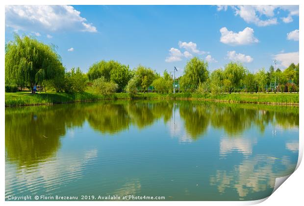 water lake reflection of green willow trees Print by Florin Brezeanu