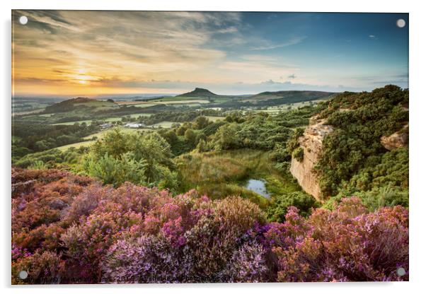 Evening at Cockshaw Hill, Roseberry Topping Acrylic by Martin Williams
