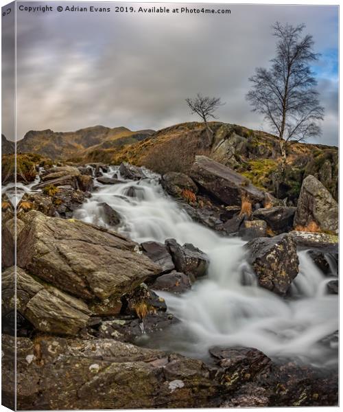 River Mountain Snowdonia Canvas Print by Adrian Evans