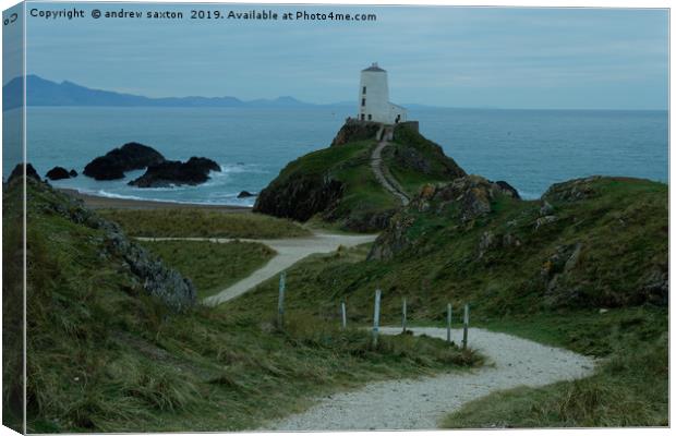 LIGHTHOUSE PATH Canvas Print by andrew saxton