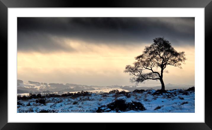 Lawrence Field, warm sun on a cold Winters day Framed Mounted Print by Chris Drabble