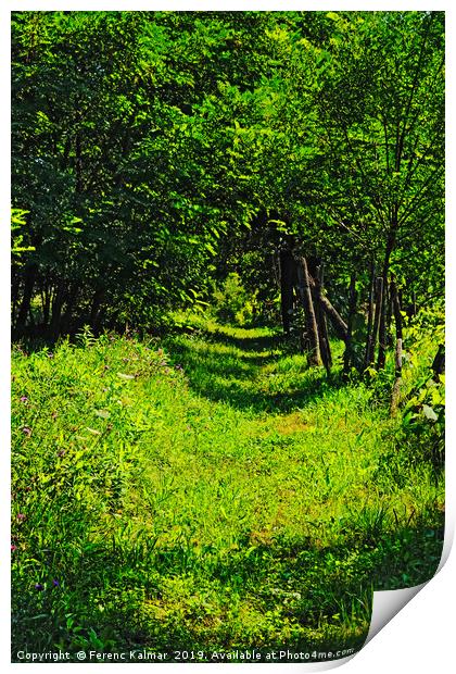 summer corridor Print by Ferenc Kalmar