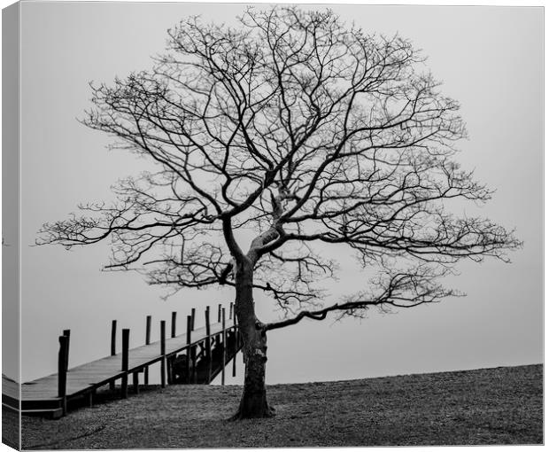 Lake District Jetty Canvas Print by Robbie Spencer