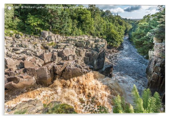 High Force Waterfall Teesdale - From The Top Down Acrylic by Richard Laidler