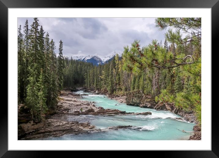 Bow River, Alberta Framed Mounted Print by Brenda Belcher