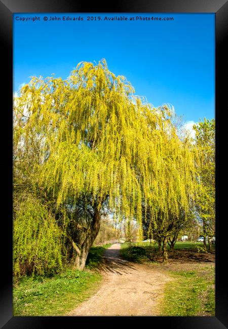 The Path Through The Willows Framed Print by John Edwards