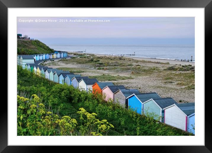 Pakefield Beach Huts Framed Mounted Print by Diana Mower