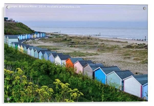 Pakefield Beach Huts Acrylic by Diana Mower