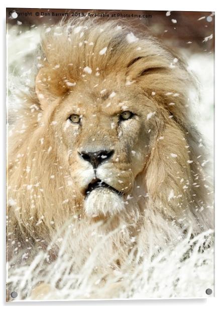 Snow Lion Acrylic by Don Barrett