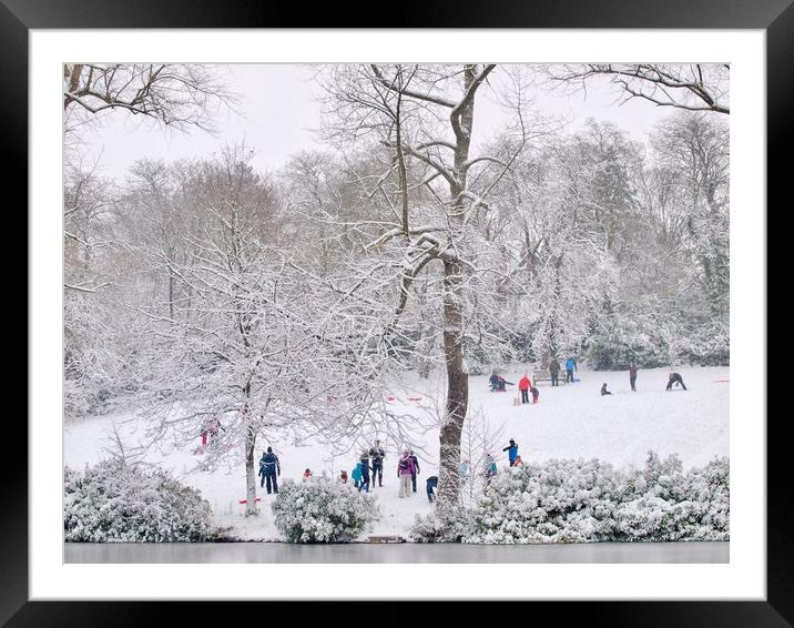 Park In Winter      Framed Mounted Print by Victor Burnside