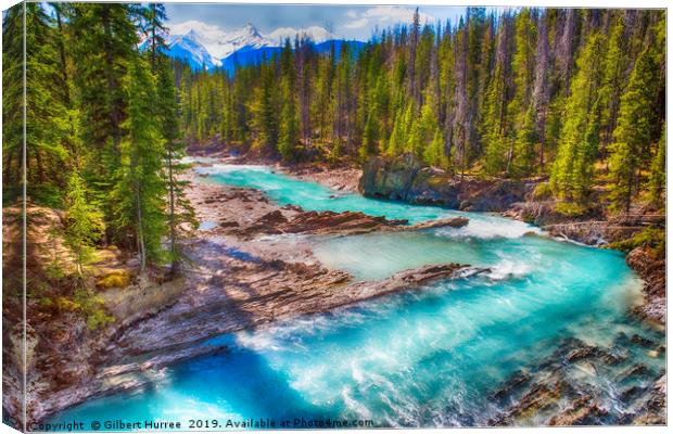 Unleashed Power of Kicking Horse River Canvas Print by Gilbert Hurree