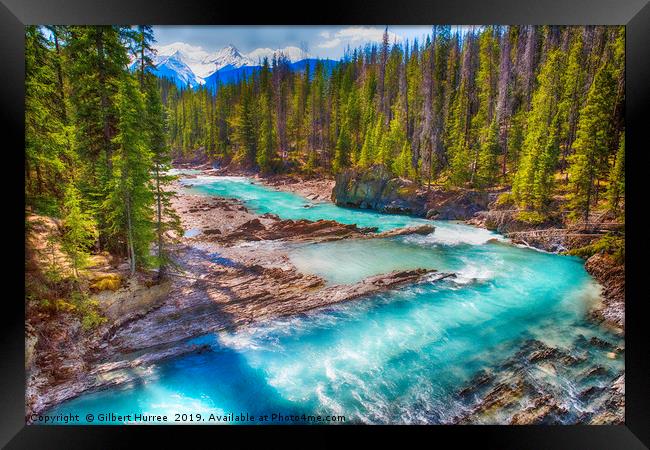 Unleashed Power of Kicking Horse River Framed Print by Gilbert Hurree