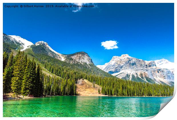 Turquoise Tranquillity: Emerald Lake Print by Gilbert Hurree