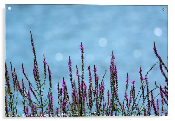 Purple Loosestrife Acrylic by Donna Joyce