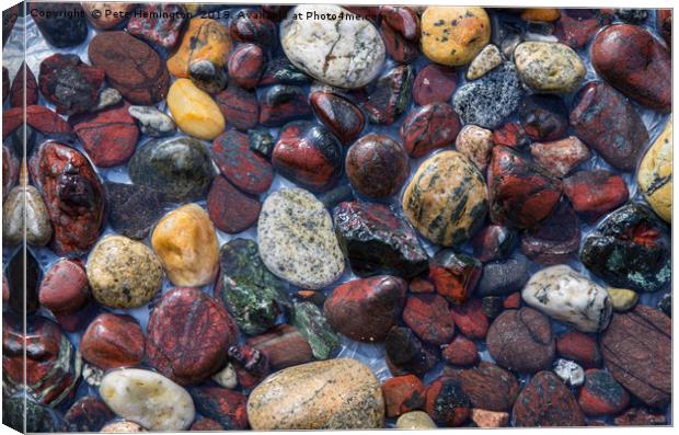Pebbles at Kynance Cove Canvas Print by Pete Hemington