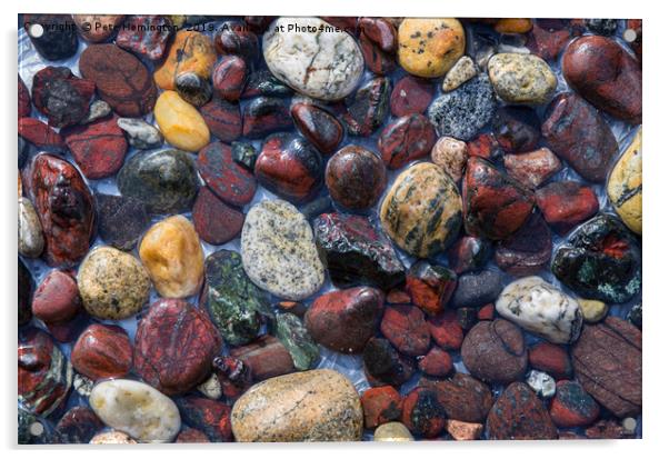 Pebbles at Kynance Cove Acrylic by Pete Hemington