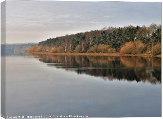 Eccup reservoir ,reflections Canvas Print by Tracey Wood