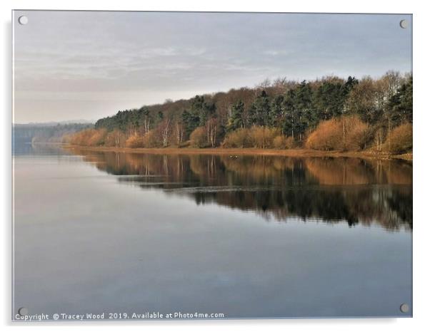 Eccup reservoir ,reflections Acrylic by Tracey Wood