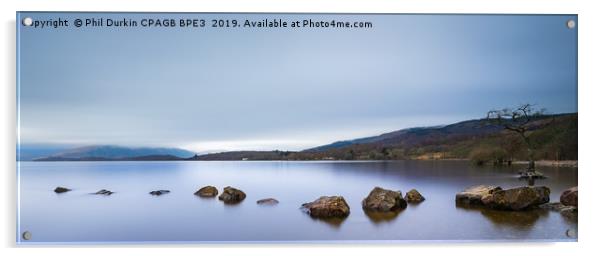 Loch Lomond - Scotland Acrylic by Phil Durkin DPAGB BPE4