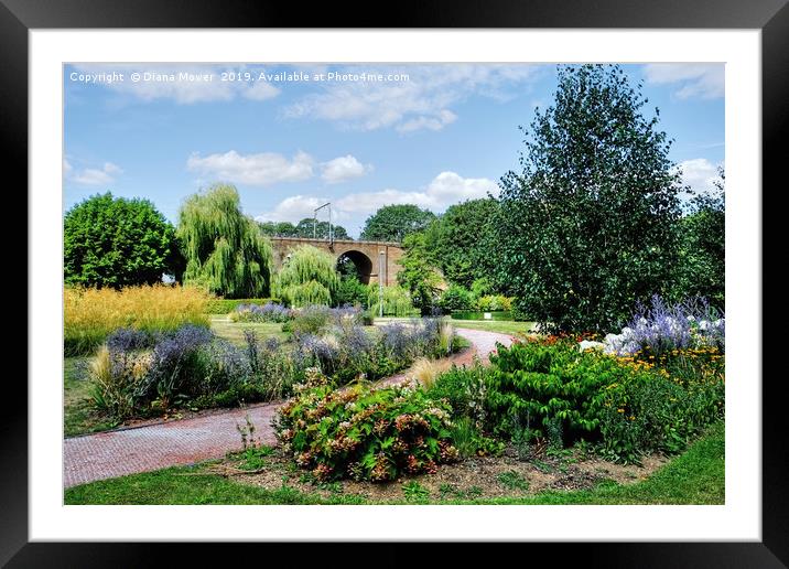 Chelmsford Central Park Framed Mounted Print by Diana Mower