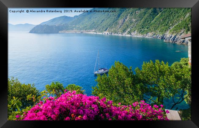 Cinque Terre, Italy Seascape Framed Print by Alexandre Rotenberg