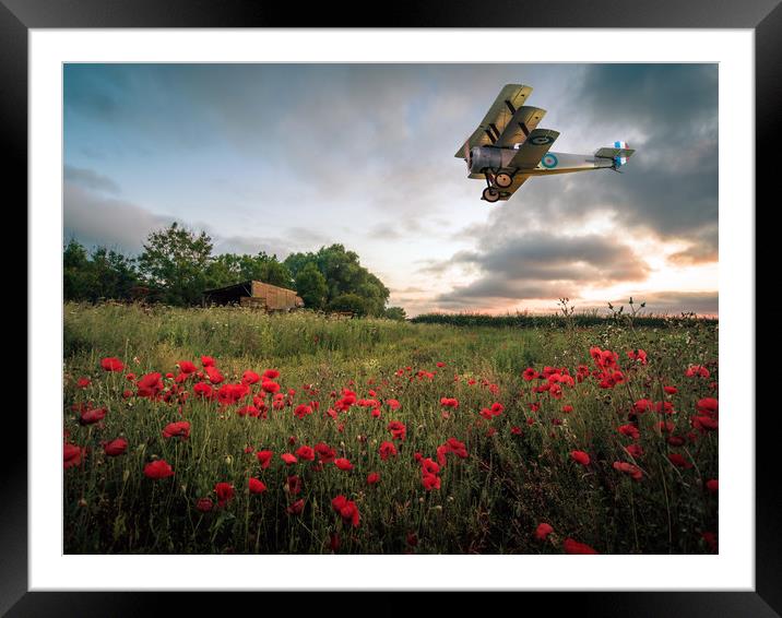 Sopwith Dawn Framed Mounted Print by Peter Anthony Rollings
