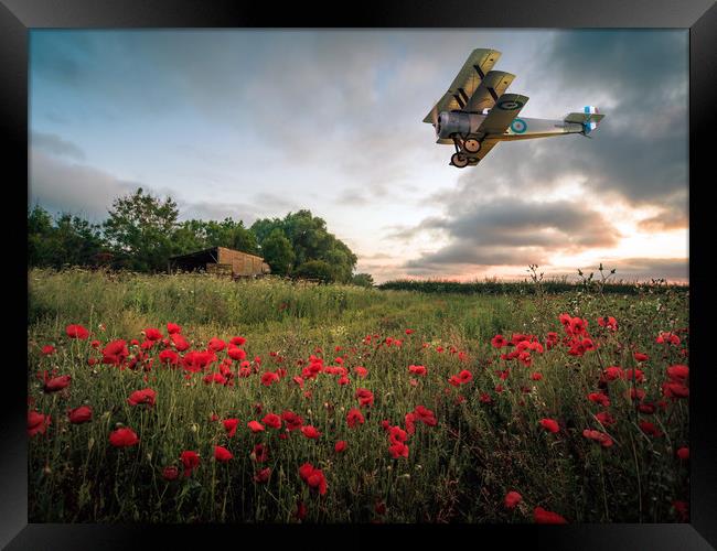 Sopwith Dawn Framed Print by Peter Anthony Rollings