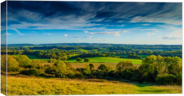 View from Newlands Corner Surrey England  Canvas Print by Philip Enticknap