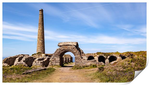 Ruins of Cornwallis mining heritage Print by David Belcher