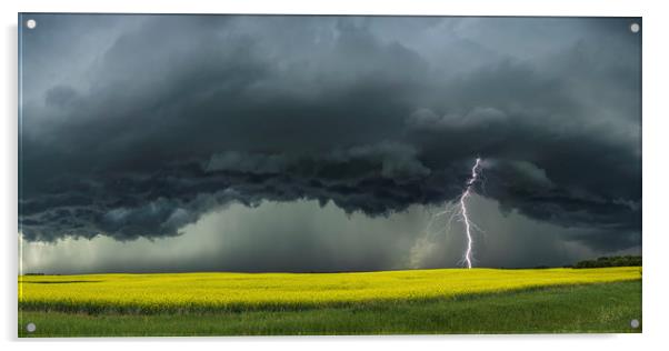 The Saskatoon Storm  Acrylic by John Finney