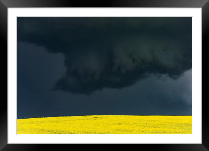Tornadic Thunderstorm over Canola Framed Mounted Print by John Finney