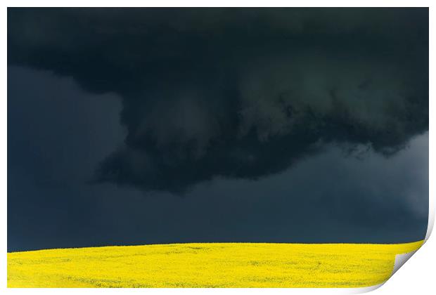 Tornadic Thunderstorm over Canola Print by John Finney