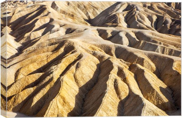 Death Valley Canvas Print by David Hare