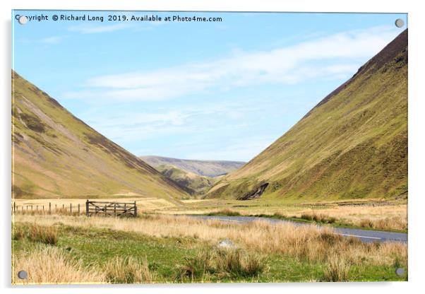 A Scottish Glen near Moffat Scotland  Acrylic by Richard Long