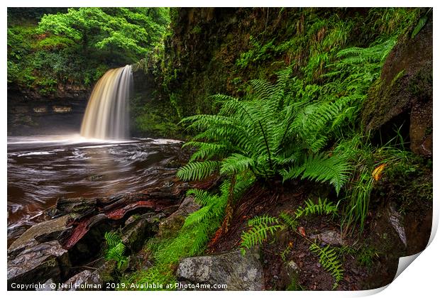 Sgwd Gwladys / Lady Falls  Print by Neil Holman