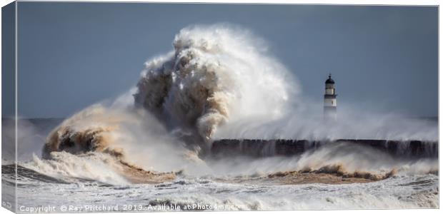 Wild Waves at Seaham Canvas Print by Ray Pritchard