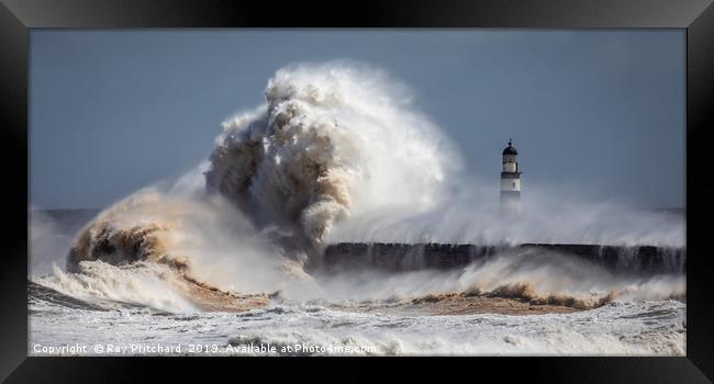 Wild Waves at Seaham Framed Print by Ray Pritchard