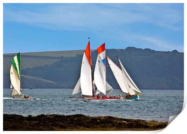 Falmouth Regatta Print by Brian Roscorla