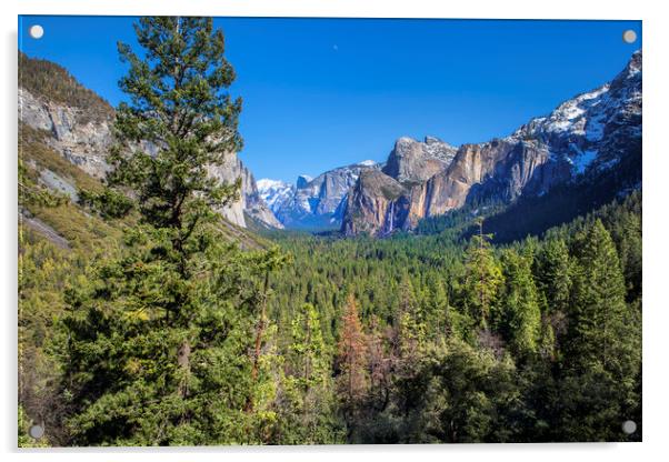 Yosemite Valley Acrylic by David Hare