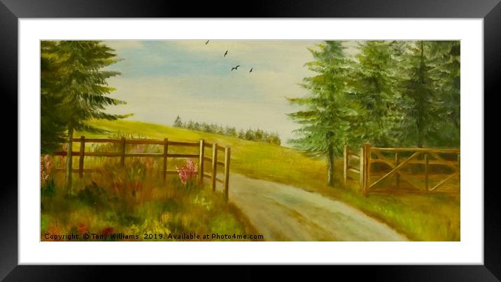 Country Scene. Framed Mounted Print by Tony Williams. Photography email tony-williams53@sky.com