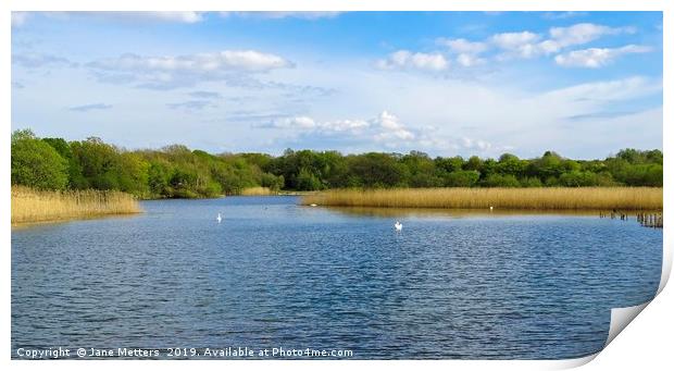 Lakeside View Print by Jane Metters