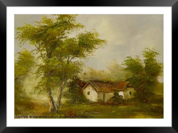 Cottage in the Woods Framed Mounted Print by Tony Williams. Photography email tony-williams53@sky.com