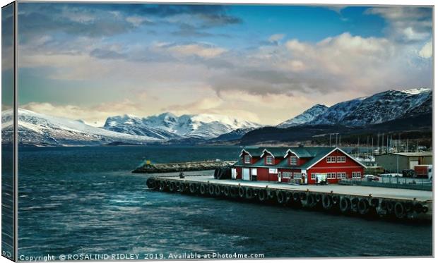 "Nesna Norway" Canvas Print by ROS RIDLEY
