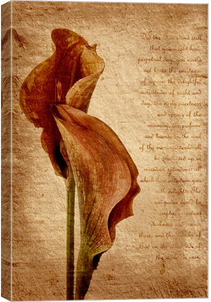 Lilies Canvas Print by Ann Garrett
