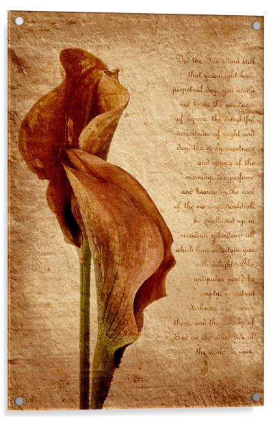 Lilies Acrylic by Ann Garrett